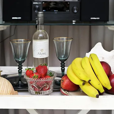 펜션 Aeolos Stone House 네아 포티데아